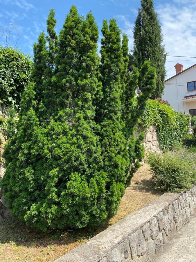 Back To Green Apartment Pobri-Οπατία Εξωτερικό φωτογραφία
